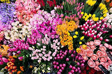 《绝地求生Mobile》宣布联动《星际战甲》 上线时间待定